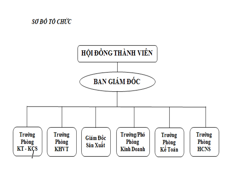 Organizational chart